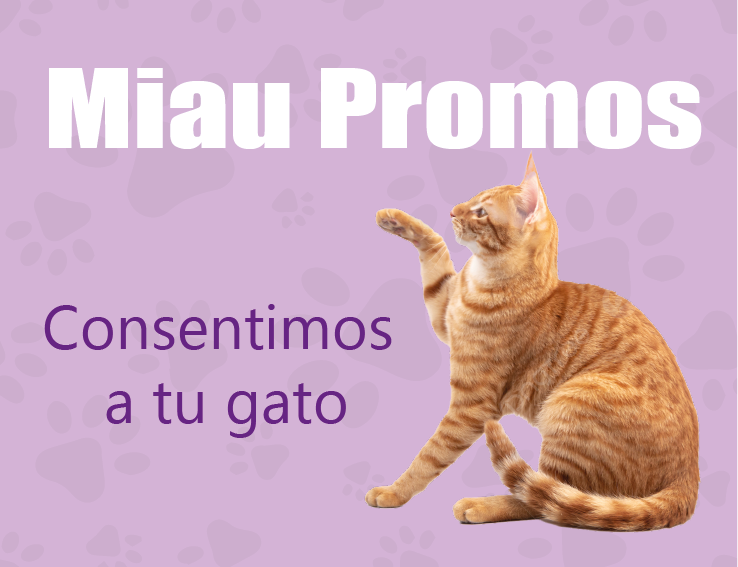 Cat Lovers