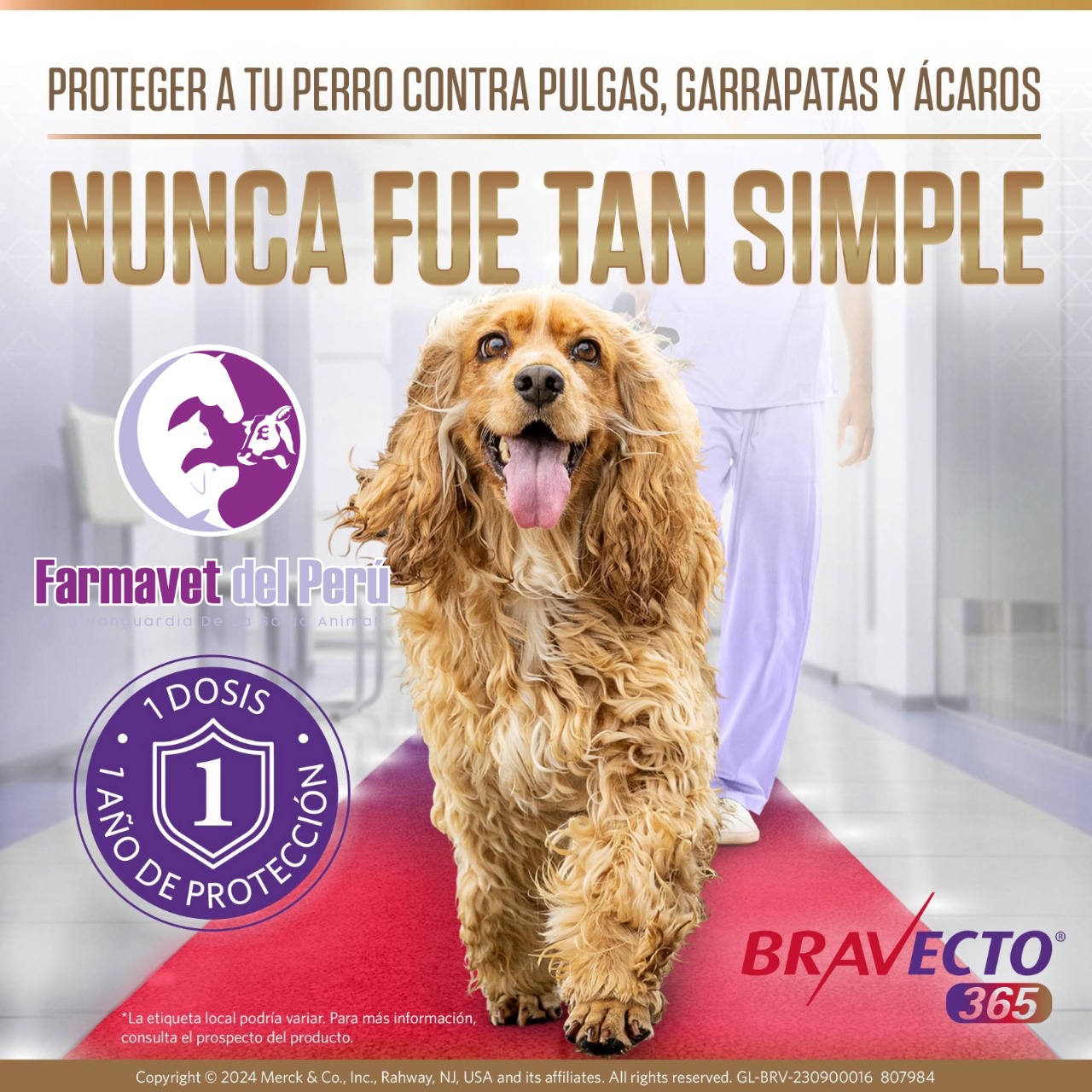 Publicidad 1