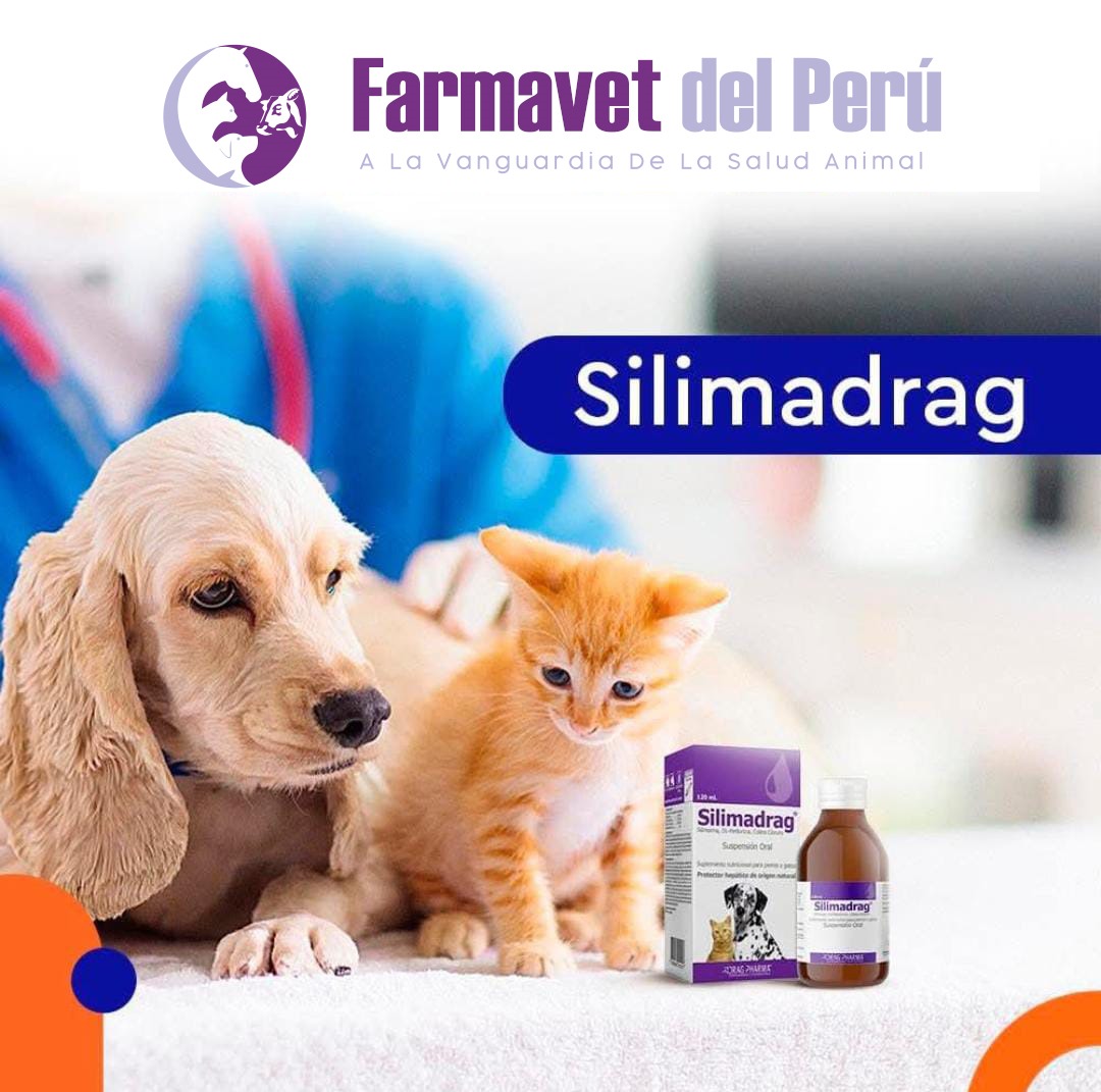 Publicidad 2