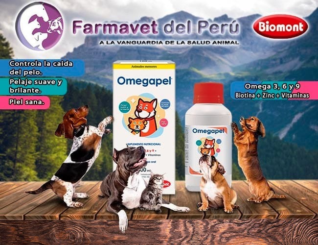 Publicidad 3