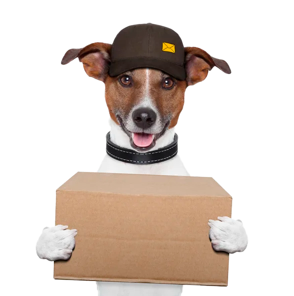 Delivery